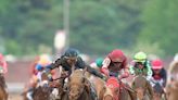 Japanese Colts to Head Home After KY Derby Slugfest