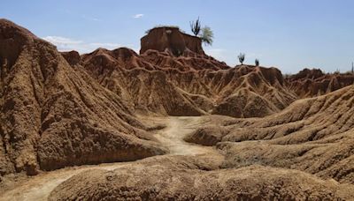 Se van a perder entre 1.700 y 4.000 fósiles de la historia colombiana en el Museo Natural de la Tatacoa