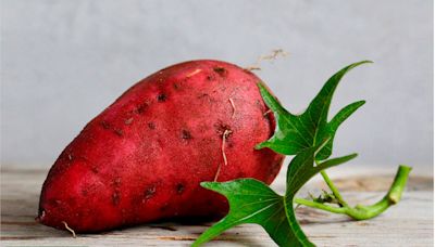 Cómo cultivar tus propias batatas aunque no tengas espacio
