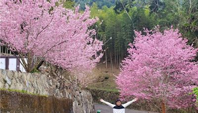 賞雲林草嶺石壁美景網速卡 立委爭取逾千萬建數位微波系統 - 寶島