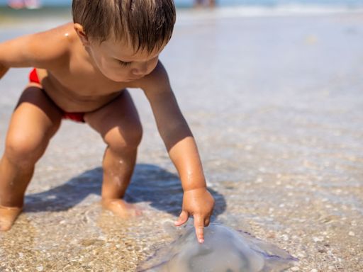 Cómo debes actuar si a tu hijo le pica una medusa