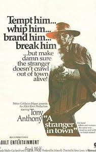 A Stranger in Town (1967 film)