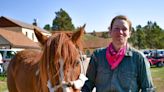 Horse vanished in national park for week — then visitor finds him roaming by SD highway