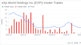 Insider Selling: CEO Glenn Sanford Sells 25,000 Shares of eXp World Holdings Inc (EXPI)