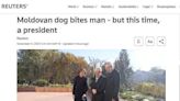 摩爾多瓦「第1狗」咬奧地利總統破壞外交禮儀 超暖心結局曝光