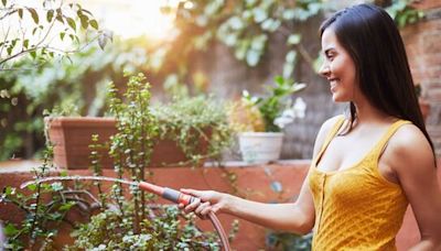 Garden expert says watering plants two times of day can stop them 'burning'