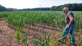 NC drought worsens despite recent rain, with extreme conditions in more counties