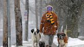 Dogs living their best lives in the snow