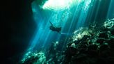 Ancient underwater caves and ecosystems in Mexico are being destroyed by a train