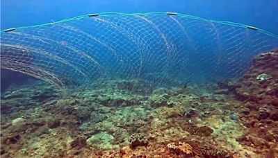 珊瑚產卵季驚見後壁湖海底飄大型漁網 潛水界怒斥生態浩劫 - 生活