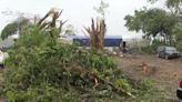 Tennessee tornado victims rush to cover homes ahead of rain