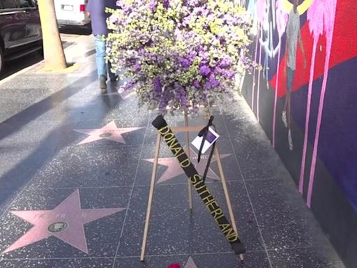 Wreath laid in honour of Donald Sutherland on Hollywood Walk of Fame after actor’s death