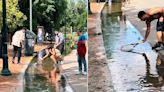Los vecinos se unieron para salvar a peces tras las inundaciones en Buenos Aires