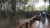 Nutrias y mapaches ingresan por el río Daule al Parque Histórico de Samborondón, donde habrá reforestación con manglar