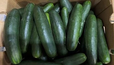 Fresh cucumbers recalled due to salmonella contamination risk