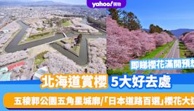 北海道櫻花2024｜賞櫻5大好去處！五稜郭公園五角星城廓/「日本...