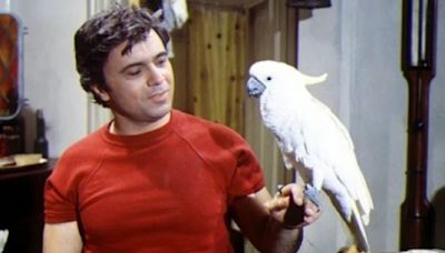 Robert Blake: el niño jamás abrazado, el protagonista de una recordada serie de los 70 y el hombre acusado de asesinar a su esposa