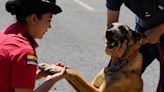 Firefighters bestow honors on rescue dogs at retirement ceremony