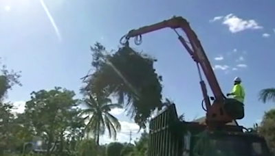 Free yard waste pickup for West Palm Beach residents ahead of hurricane season