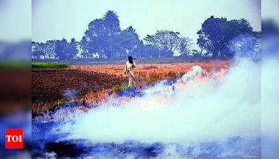 Admn Steps Up Drive Against Stubble Burning | Ludhiana News - Times of India