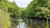 Plans for London’s largest nature haven have been revealed