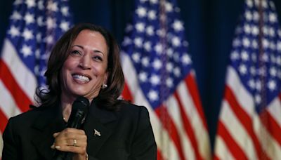 To Find a VP, Harris Should Look to the Swing States | Opinion