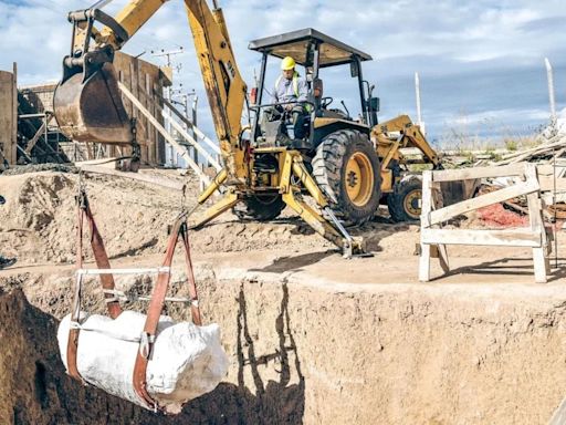 Encontraron los restos fósiles de un perezoso gigante de 50 mil años de antigüedad en Mar del Plata