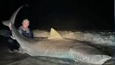 Florida fisherman catches 12-foot tiger shark: ‘This is definitely one for the books’