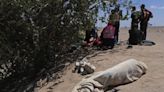 Crece el miedo de los migrantes al crimen organizado tras masacre en el norte de México - El Diario NY