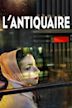 L'Antiquaire