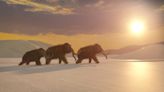 Woolly mammoth de-extinction inches closer after elephant stem cell breakthrough