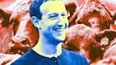 Zuckerberg Brags About Feeding Cows Macadamia Nuts and Beer at His Alleged Doomsday Bunker