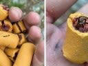 Thru-Hiker Finds Dog Treats Stuffed with Fish Hooks Along the Appalachian Trail