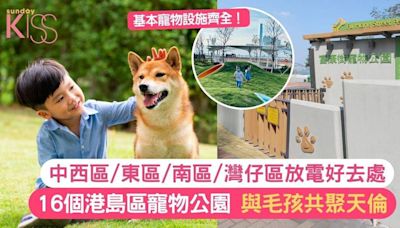 寵物家庭週末遊｜盤點港島區16個寵物公園 一家大小攜同毛孩外出放電