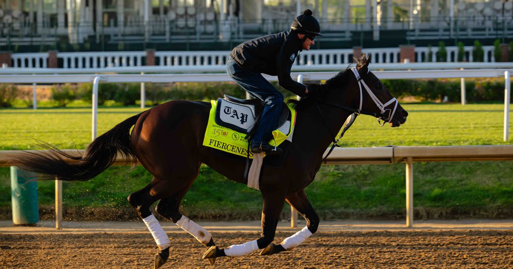 Horse Racing’s Loudest Critic Is Favored in Its Biggest Race