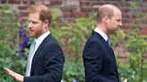 Prince Harry said Prince William screamed at him during crisis talks about his and Meghan Markle's future in the royal family: 'It was terrifying'