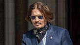 Johnny Depp Visits Wildlife Rescue and Cuddles a Badger After Defamation Trial Win