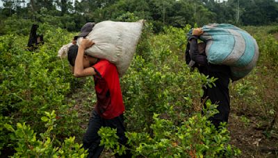 Colombia Faces a New Problem: Too Much Cocaine