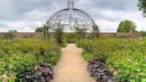 The Greater Manchester garden named one of UK’s most Instagrammable you need to visit this summer