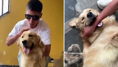 Piero Quispe regresó al Perú y protagonizó emotivo reencuentro con su mascota tras casi medio año en México