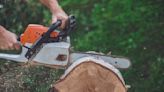 This mini chainsaw is the 'greatest little tool' — and it's under $90 on Amazon Canada