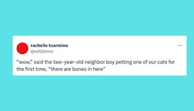 22 Of The Funniest Tweets About Cats And Dogs This Week (June 22-28)