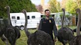 PETA slams new Joel McHale sitcom Animal Control , calls it 'sickening soup of animal exploitation'