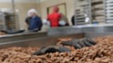 Stuckey's to expand Wrens pecan and candy plant