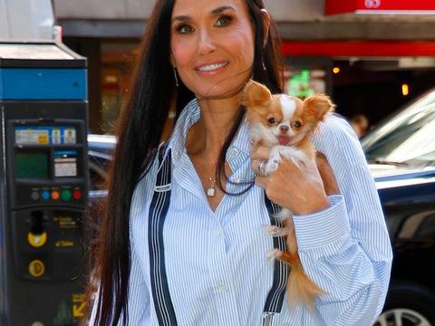 Demi Moore Hits the Streets of New York with Her Dog Pilaf, Plus Daisy Ridley, Matthew McConaughey and More