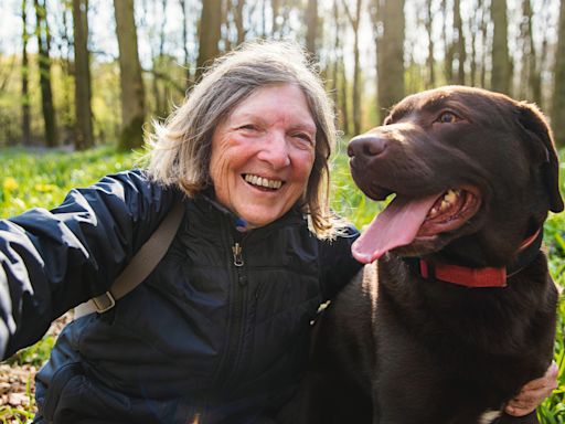 Dogs work together to save elderly woman with dementia who went missing in Utah mountains