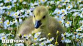 Your pictures across the West Midlands