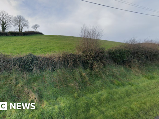 Portaferry: Light aircraft makes emergency landing in field