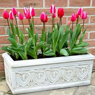 Long, rectangular planters that mimic the look of a trough used for feeding livestock. Can be made from rustic materials such as reclaimed wood or galvanized metal.