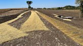 Redwood River project in southwestern Minnesota saves soil, strengthens flood control - Outdoor News